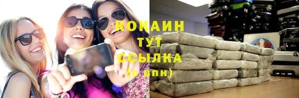 прущие грибы Медвежьегорск