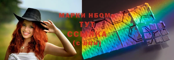 прущие грибы Медвежьегорск