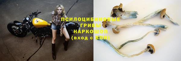 скорость Мегион