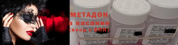 прущие грибы Медвежьегорск