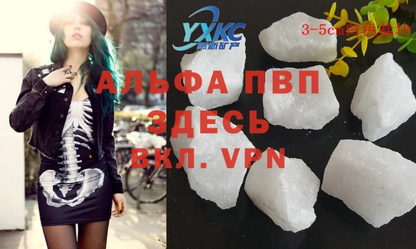 прущие грибы Медвежьегорск