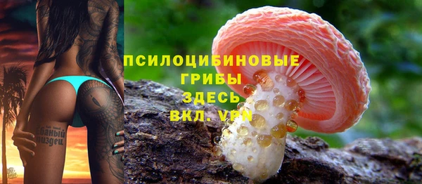 прущие грибы Медвежьегорск