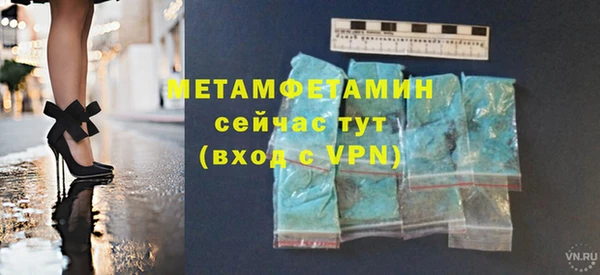 прущие грибы Медвежьегорск